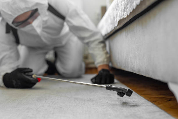 Professional Termite Control technician working in Selma, TX